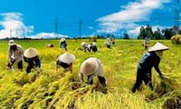 Developing female resources for national industrialization, modernization 