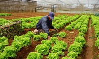 Vietnam’s agriculture sector boosts administrative reforms in 2013