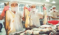 Vietnam Pangasius Association unites for development