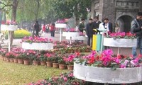 Hanoi’s 2013 Spring Flower Festival honors craft villages