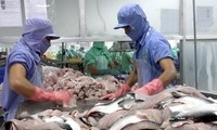 DOC imposes high anti-dumping duties on Vietnam’s tra fish