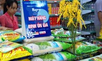 Hanoi prepares goods for 2014 Tet holiday