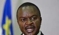 Central African Republic's interim president proposes dialogue