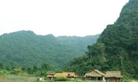 Tet in Viet Hai fishing village attractive to foreign tourists 