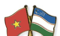 Vietnam, Uzbekistan hold political consultation