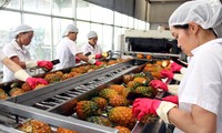  Vietnam’s exports prosper in the first half of 2014