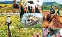 Vietnam accelerates poverty reduction toward sustainability by 2020