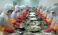 VASEP files claim against US’s anti-dumping duties on shrimp