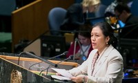 Vietnam always respects UN Charter’s purposes, principles