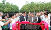 Vietnam rubber latex processing plant built in Cambodia 