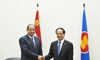 Egypt to Forge Closer Relations with ASEAN