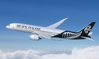 Air New Zealand likely to launch direct flights to Vietnam 