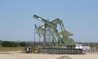 Global oil prices rally 