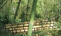 The Vietnamese Bamboo Flute