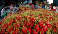 Vietnamese farm produce exports should prosper in 2016