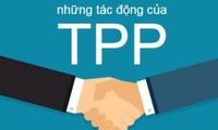 Hanoi and efforts to make full use of TPP opportunities