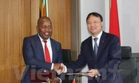 Vietnam, South Africa discuss 3 billion USD trade turnover 