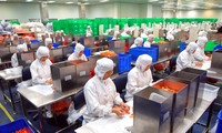 Linking for economic development in Vietnam’s southeastern region