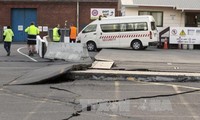 New Zealand warns of tsunami following earthquake