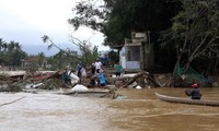 Government allocates rice to flood victims in Binh Dinh