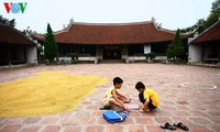 The organization of a typical Viet village