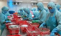 Vietnam targets 10 billion USD in shrimp exports by 2025