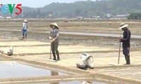 Sa Huynh Salt Village in Quang Ngai