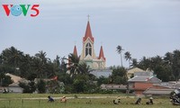 Onion and garlic farming on Ly Son Island 