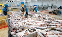 Vietnam’s aquatic product growth likely to be challenged in 2017  