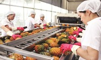 Vietnam expands fruit and vegetable export market 