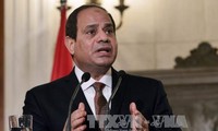  Egyptian President to pay State visit to Vietnam