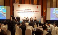 Vietnam 2017 energy outlook report released