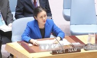 Ambassador highlights Vietnam’s favor of disarmament, nuclear non-proliferation