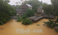 US, RoK help Vietnamese flood victims