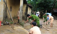 Damrey typhoon victims stabilize their lives, production 