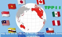 Vietnam prepares to take advantage of CPTPP agreement