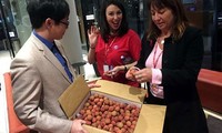 Vietnamese lychees much sought after in Australia