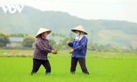 Happy farmers in Binh Khe