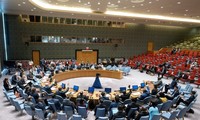 UN Security Council has 5 new non-permanent members  