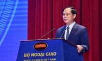 Vietnam persists in its foreign policy