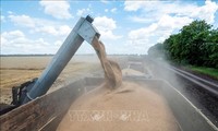 Poland ready to ensure transit of Ukrainian grain to poorest countries 