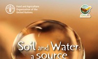 Soil and water – Asia-Pacific’s bread and butter