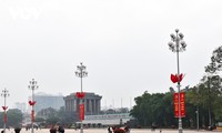 Colorful decorations spring up across Hanoi to ring in Lunar New Year