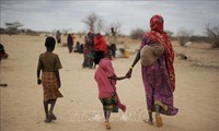 More than 74 million people face food insecurity in Horn of Africa