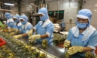 Vietnam’s exports increase 13.8% in H1 