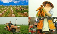 ​Vietnam enhances international cooperation in circular agriculture