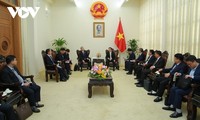 Japanese enterprises are always welcomed in Vietnam: Deputy PM   