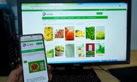 Ha Nam province boosts digital economy in agriculture