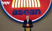 Party chief attends ceremony marking Vietnam’s 30 years of ASEAN membership 