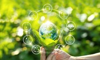 Vietnam moves toward a green, sustainable economy 